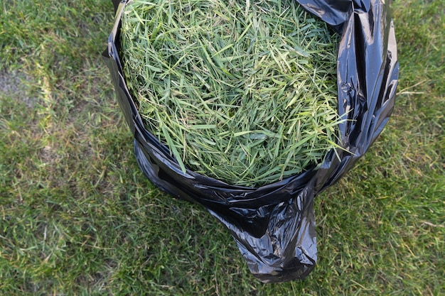Grassäcke nach dem Rasenmähen im Hinterhof