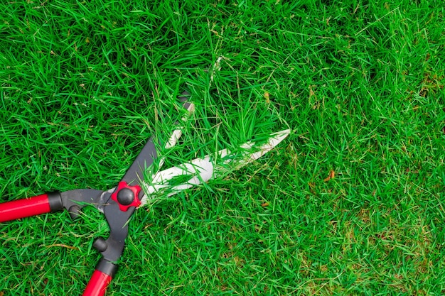 Grasschere auf dem grünen Grashintergrund Trimmen des Rasens mit einer Schere Schneiden Sie das Gras in der Draufsicht des Gartens