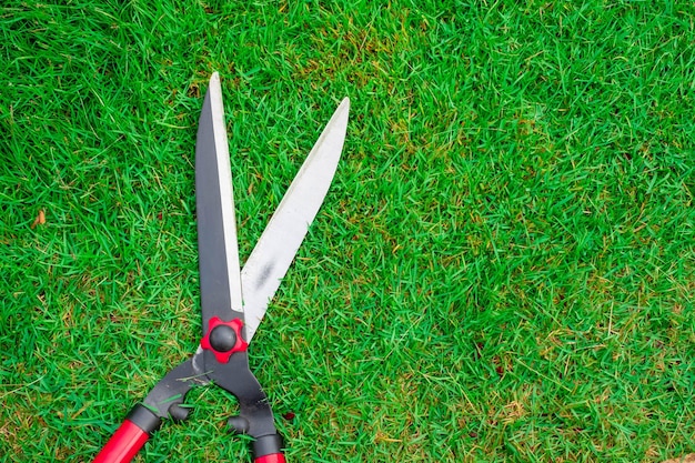 Grasschere auf dem grünen Grashintergrund Trimmen des Rasens mit einer Schere Schneiden Sie das Gras in der Draufsicht des Gartens