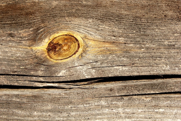 graue alte Holzbrettstruktur mit gelben Zweigen, Holzhintergrund