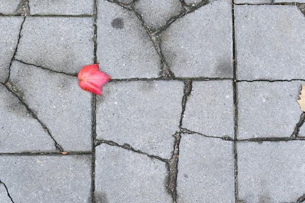 Graue alte Pflaster-Draufsicht oder Granit-Kopfsteinpflaster-Straße mit Herbstlaub. Antiker gepflasterter Ziegelboden oder Straße mit Granitfliesen mit großen Steinen