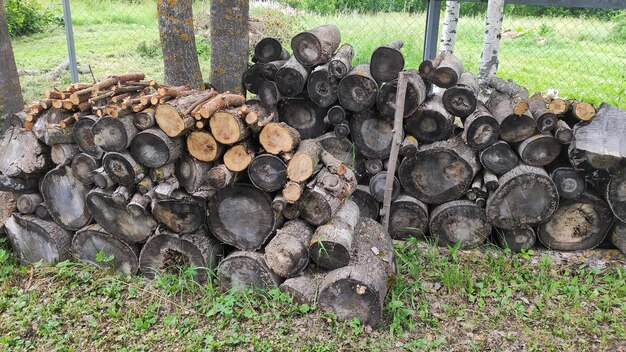 Graue Brennholzscheite, gestapelt in zwei Haufen, liegen im Frühling im Gras neben einem Baum