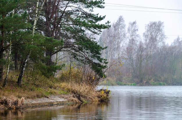 Graue Herbstlandschaft Birken und andere Bäume am See oder Fluss Nebel und leichter Dunst am Himmel Hochspannungsleitungen hängen über den Bäumen