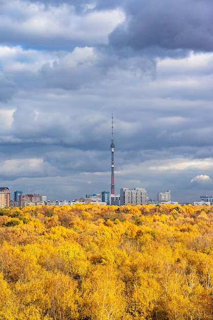 Graue Regenwolken über üppig gelbem Wald und Stadt