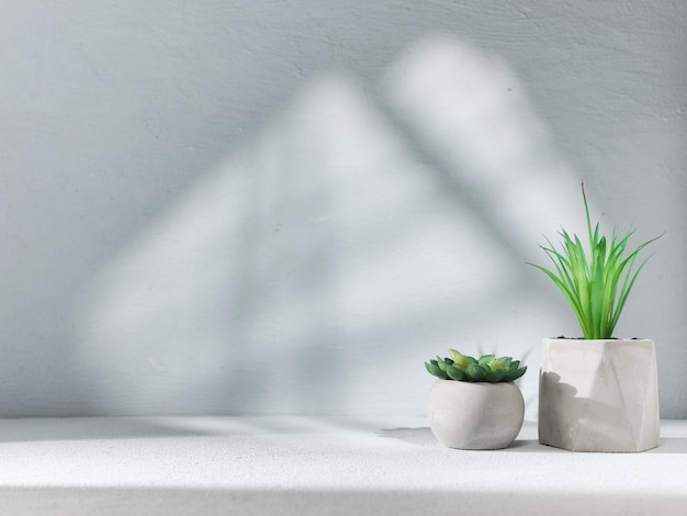 Grauer Hintergrund mit Licht aus dem Fenster mit dekorativen Zimmerpflanzen im Loft-Stil