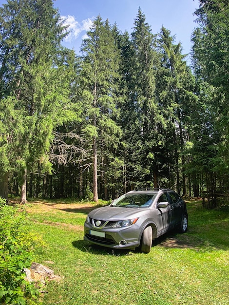 Graues Auto im Wald in der Nähe des Weges