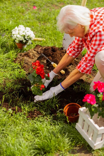 Grauhaarige aktive Frau, die die Natur liebt, die Blumen in der Nähe des Hauses pflanzt