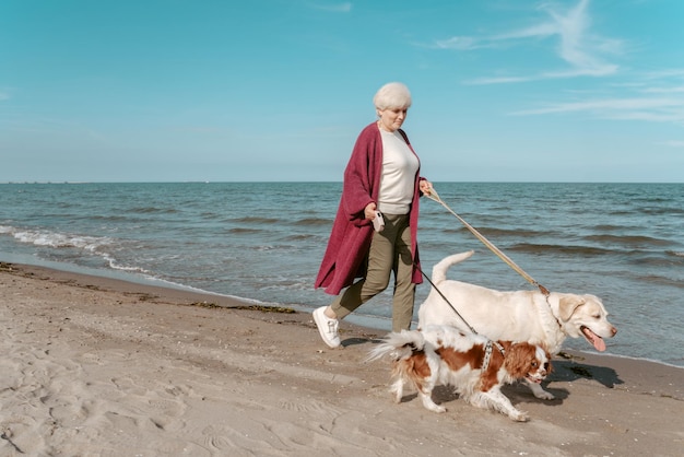 Grauhaarige Dame, die an einem sonnigen Tag mit ihren zwei entzückenden Haustieren am Strand entlang geht