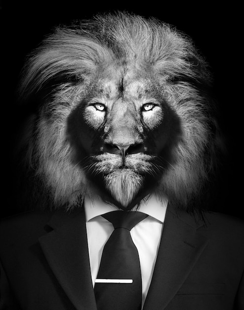 Graustufenaufnahme eines Löwen mit edlem Look im Anzug