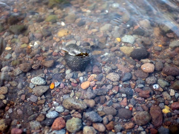 Foto grava peppes mar piedras bajo el agua en la costa sur de la isla de java