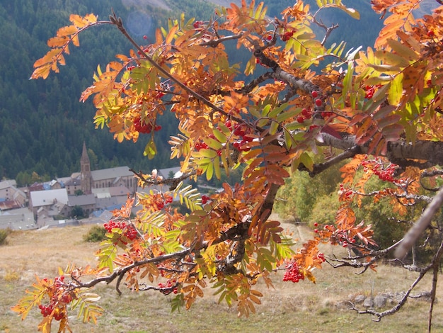 La grave hautes alpes FRANCIA