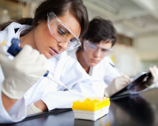 Foto graves jóvenes científicos trabajando