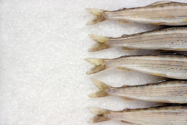 Grayling de pescado de río siberiano en sal de grandes cristales blancos