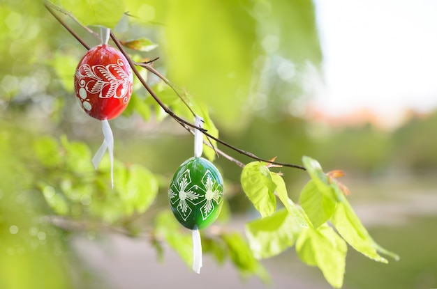 Grean fondo de Pascua con huevos de madera en el árbol