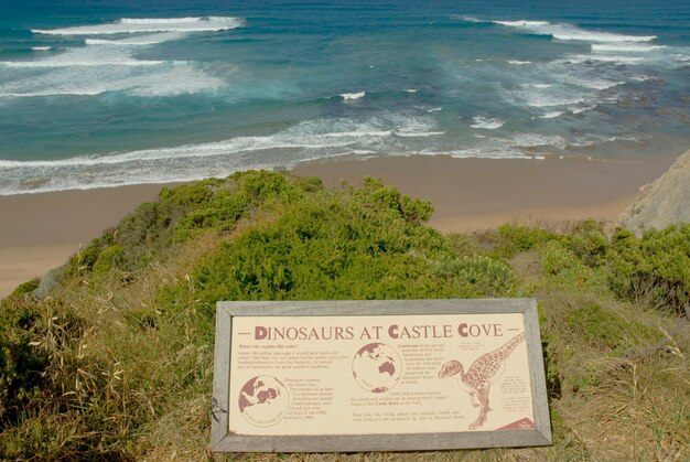 Great Ocean Road Castle Cove Oceano Antártico Victoria Austrália