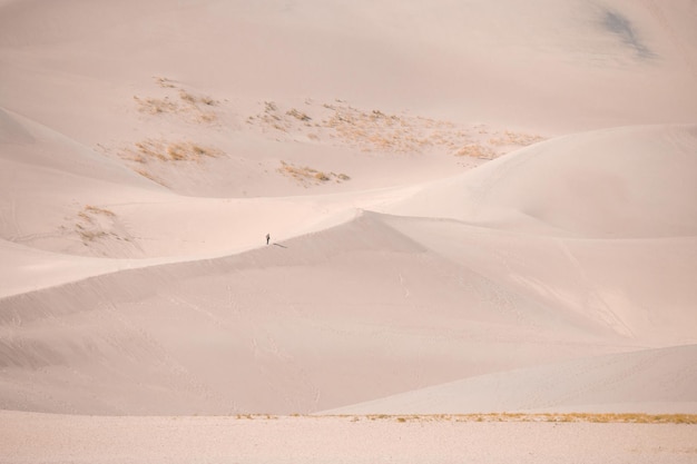 Great Sand Dunes National Park Reserve no outono