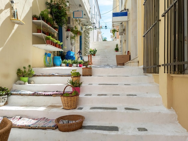 Grécia Andros island Cyclades Souvenir shop pots com plantas em escadas pavimentadas de pedra na cidade de Chora