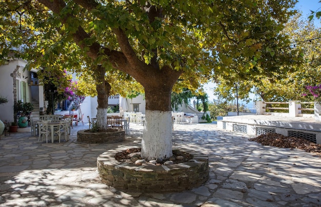 Grécia Café ao ar livre sob a sombra de um plátano na ilha de Tinos Dio Horia village Cyclades