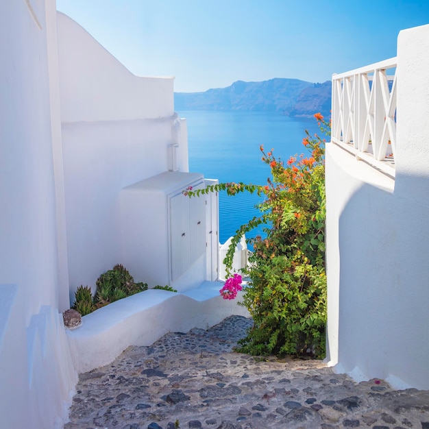 Grecia isla de Santorini Oia arquitectura blanca de una calle estrecha con flores pasos conducen al mar Islas Griegas Santorini