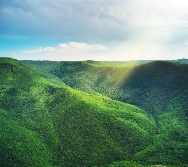 Greem Hügel der Bergwälder.