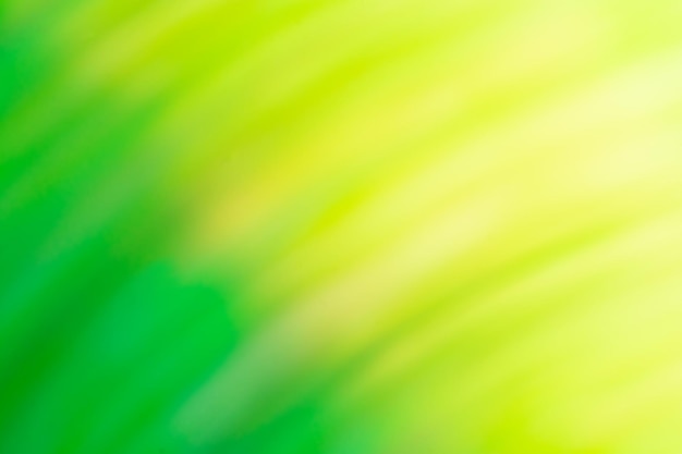 Green Bokeh unscharf Hintergrund Green Olive Blur abstrakten Hintergrund