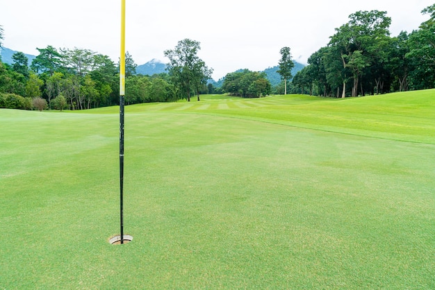 Green con bunkers de arena en campo de golf