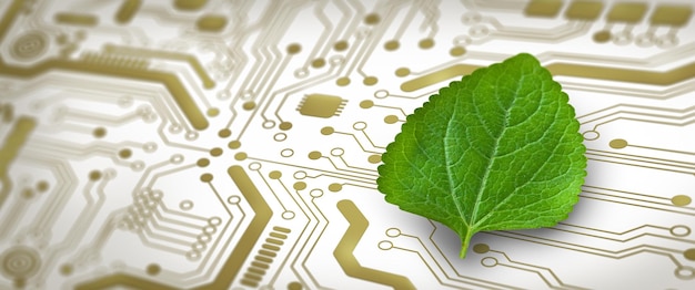 Green Computing Green Technology Green IT csr und IT-Ethik-Konzept