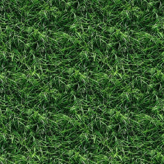 Green Grass Textur Hintergrund