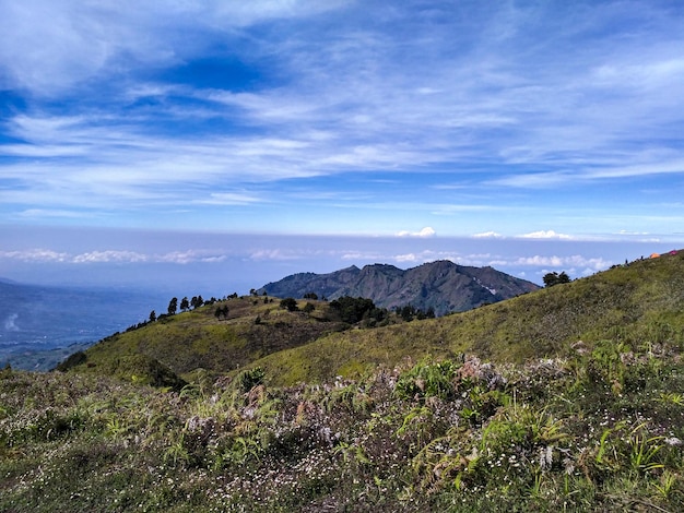 Green Hill no Monte Prau Wonosobo, Java Central