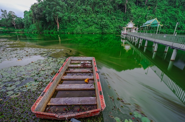 Foto green mountain se refleja en el lago. chiangrai, tailandia