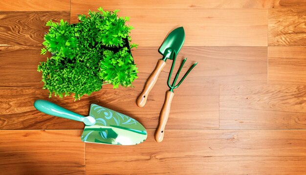 Green Thumb Essentials Draufsicht auf Gartengeräte auf dem Holzboden. Machen Sie sich bereit für die Kultivierung