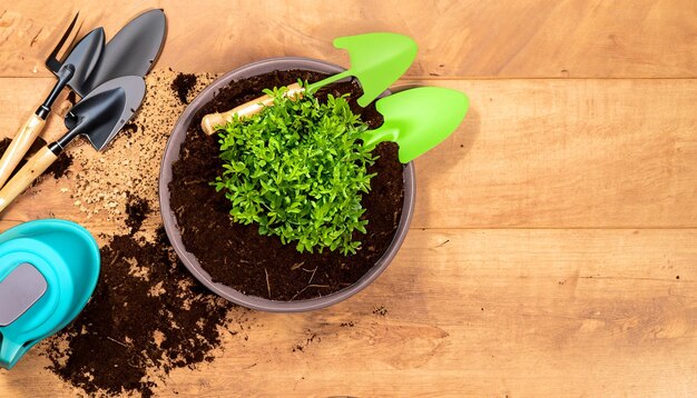 Green Thumb Essentials Draufsicht auf Gartengeräte auf dem Holzboden. Machen Sie sich bereit für die Kultivierung