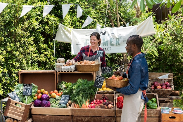 Greengrocer que prepara el producto agrícola fresco orgánico en el mercado del granjero