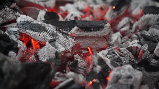 Grelha de metal com carvão Carne grelhada O fogo está latente no braseiro da grelha Piquenique na natureza Carvão queima com chama e chama de carvão na grelha Queima de churrasco de madeira em um braseiro