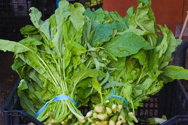 Grelos en el mercado