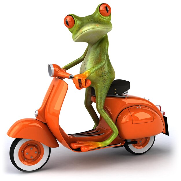 Foto grenouille em scooter