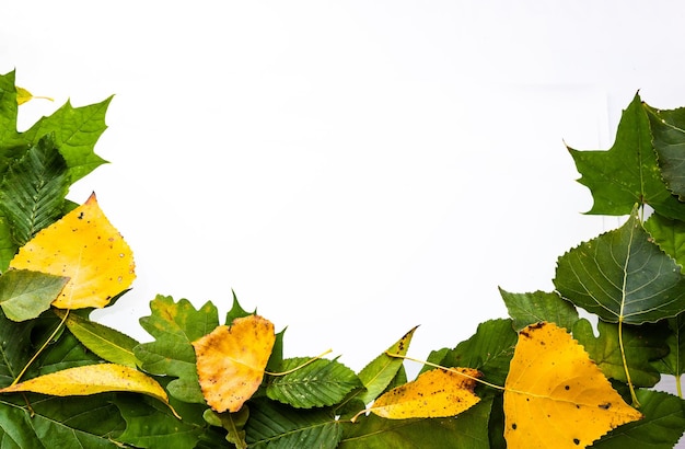 Grenzrahmen aus farbenfrohen Herbstblättern, die auf Weiß isoliert sind