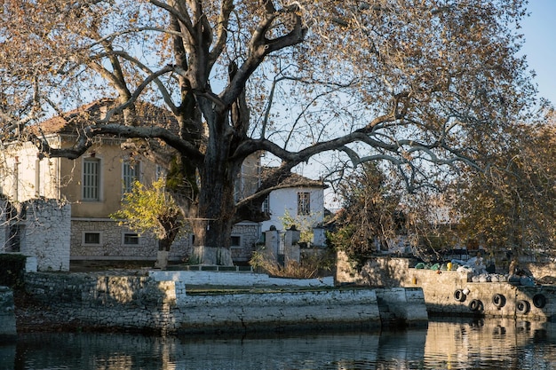 Griechenland Ioannina Stadt Pamvotis See Epirus Ali Pascha Inselchen Nisaki Port Baum Gebäude Hintergrund