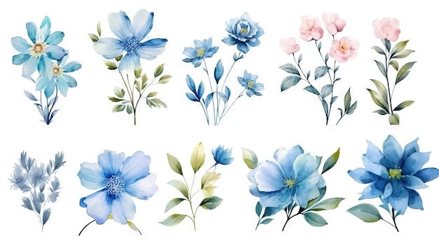 Griechische Blumen-Aquarell-Sammlung auf sauberem weißem Hintergrund, generative KI