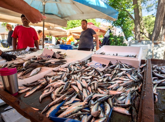 Griechischer Dorfmarkt auf der Insel Euböa mit Fisch und einer Vielzahl von Meeresfrüchten in Griechenland