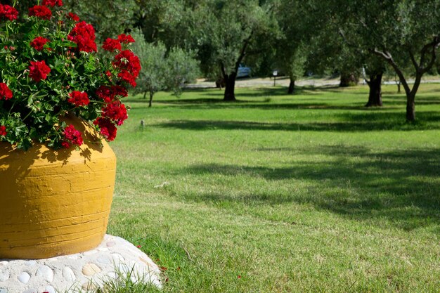 Griechischer Garten mit großem Tonkrug