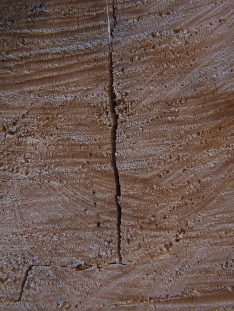 Una grieta en una pared que se ha agrietado y está hecha de madera real.