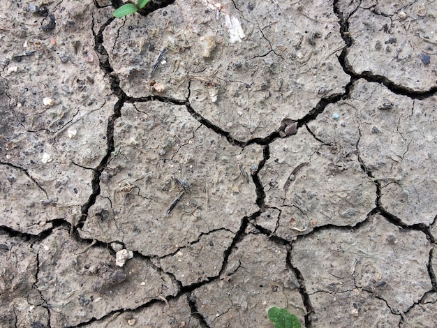 Las grietas secas en la tierra de la tierra tienen textura.