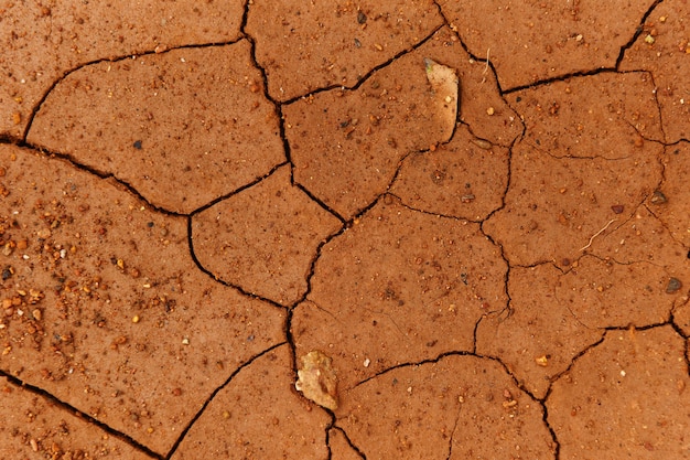 Grietas del suelo seco en la estación árida / Suelo árido, textura de tierra agrietada