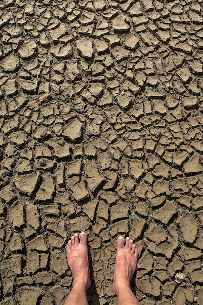 Foto grietas de tierra o tierra