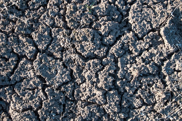 Grietas en tierra seca, sequía, vista superior