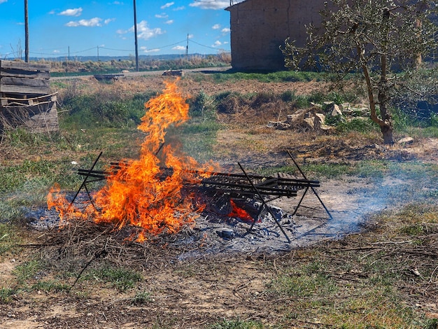 Foto grill von calsots auf dem feuer la calsotada ist ein gastronomisches festival typisch für valls tarragona spanien