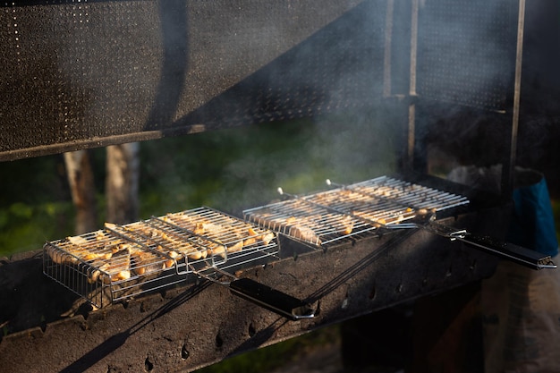 Grillen von Fisch auf dem Grill bei einem Picknick