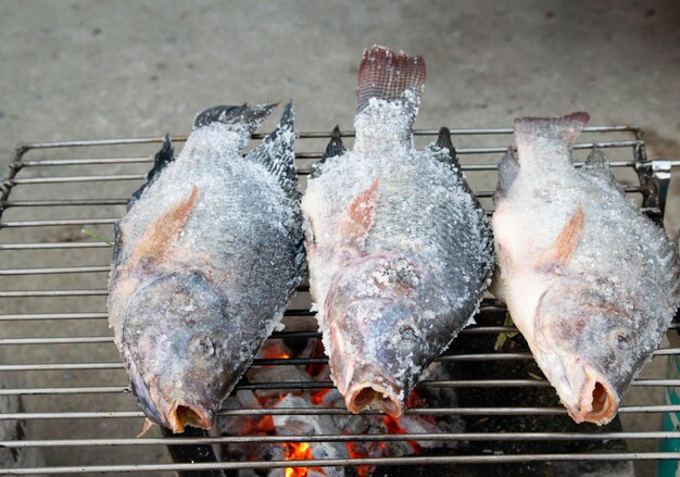 Grillfisch auf dem Herd