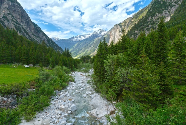 Grimselpass-Sommerlandschaft mit Fluss- und Tannenwald (Schweiz, Berner Alpen).